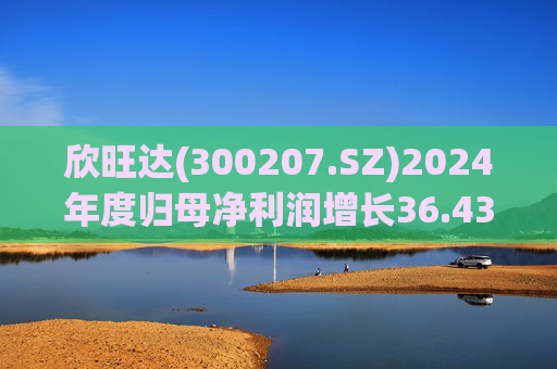 欣旺达(300207.SZ)2024年度归母净利润增长36.43%至14.68亿元，动力电池出货量合计25.29GWh