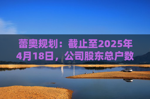 蕾奥规划：截止至2025年4月18日，公司股东总户数12,043户  第1张