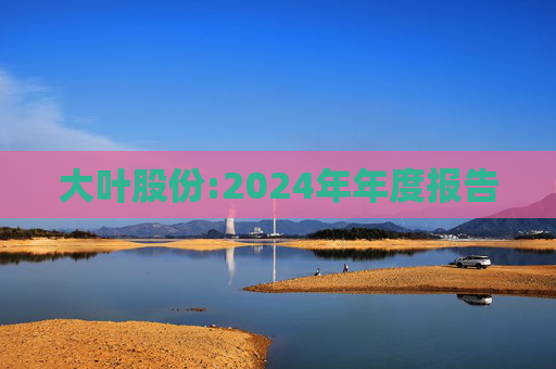 大叶股份:2024年年度报告