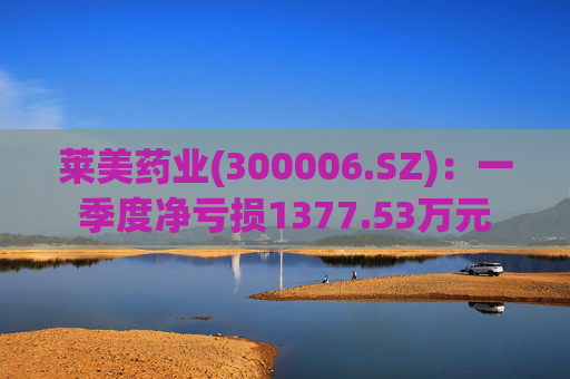 莱美药业(300006.SZ)：一季度净亏损1377.53万元