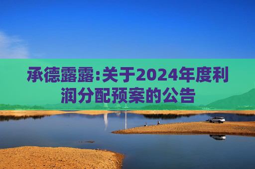 承德露露:关于2024年度利润分配预案的公告