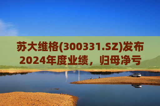 苏大维格(300331.SZ)发布2024年度业绩，归母净亏损5805万元，亏损扩大  第1张
