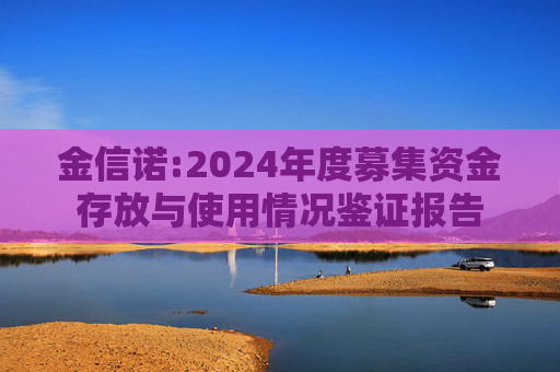 金信诺:2024年度募集资金存放与使用情况鉴证报告