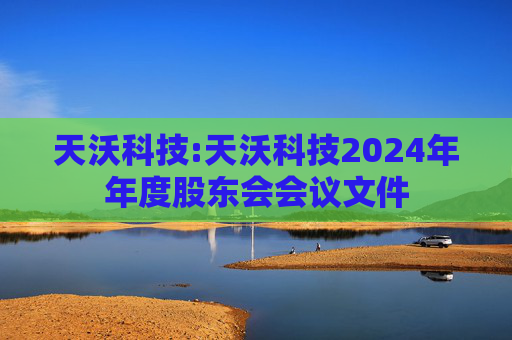 天沃科技:天沃科技2024年年度股东会会议文件