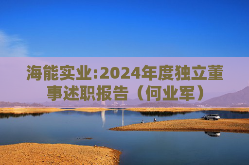 海能实业:2024年度独立董事述职报告（何业军）