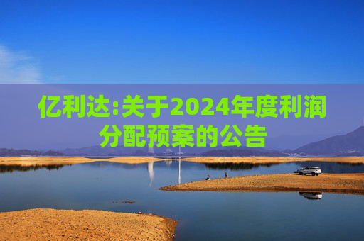 亿利达:关于2024年度利润分配预案的公告