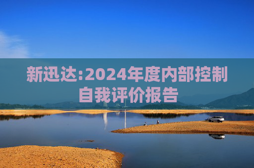 新迅达:2024年度内部控制自我评价报告