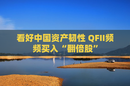 看好中国资产韧性 QFII频频买入“翻倍股”