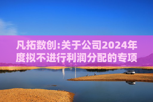 凡拓数创:关于公司2024年度拟不进行利润分配的专项说明  第1张