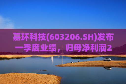 嘉环科技(603206.SH)发布一季度业绩，归母净利润2021.72万元，同比下降21.02%