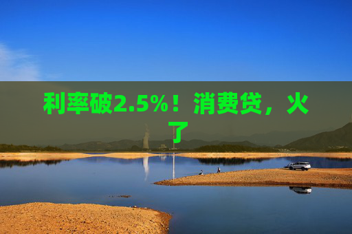 利率破2.5%！消费贷，火了