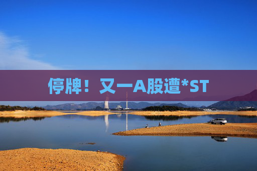 停牌！又一A股遭*ST