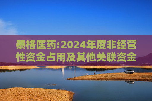 泰格医药:2024年度非经营性资金占用及其他关联资金往来情况的专项报告