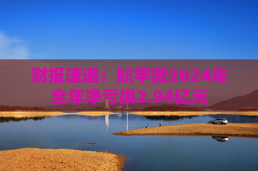财报速递:航宇微2024年全年净亏损2.94亿元 第1张 财报速递:航宇微2024年全年净亏损2.94亿元 第1张