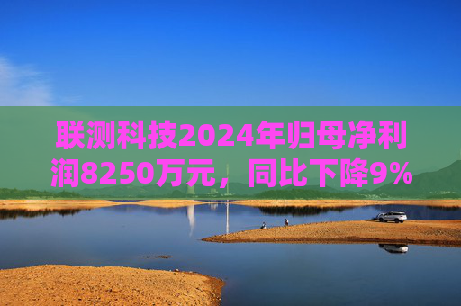 联测科技2024年归母净利润8250万元，同比下降9%