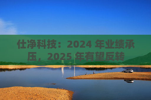 仕净科技：2024 年业绩承压，2025 年有望反转