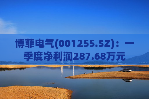 博菲电气(001255.SZ)：一季度净利润287.68万元