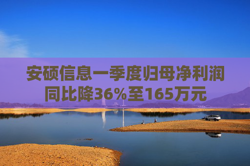 安硕信息一季度归母净利润同比降36%至165万元