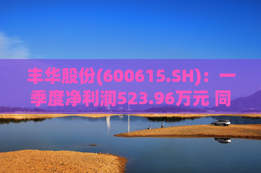 丰华股份(600615.SH)：一季度净利润523.96万元 同比增长645.11%  第1张