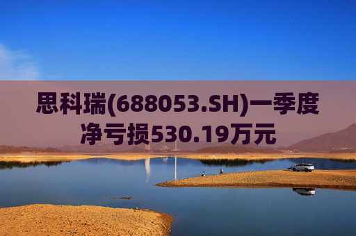 思科瑞(688053.SH)一季度净亏损530.19万元
