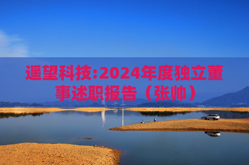 遥望科技:2024年度独立董事述职报告（张帅）