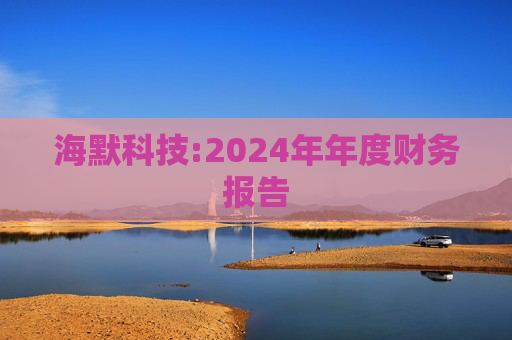海默科技:2024年年度财务报告