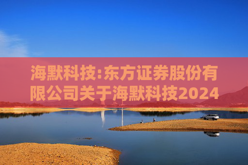 海默科技:东方证券股份有限公司关于海默科技2024年年度持续督导跟踪报告