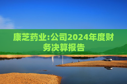 康芝药业:公司2024年度财务决算报告  第1张