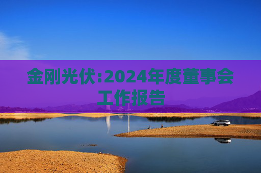 金刚光伏:2024年度董事会工作报告  第1张