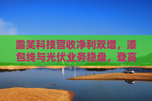 露笑科技营收净利双增，漆包线与光伏业务稳盘，登高机成增长新引擎