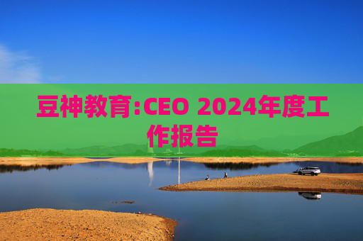 豆神教育:CEO 2024年度工作报告  第1张