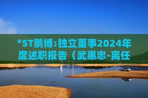 *ST鹏博:独立董事2024年度述职报告（武惠忠-离任）