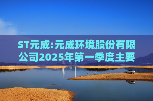 ST元成:元成环境股份有限公司2025年第一季度主要经营数据的公告