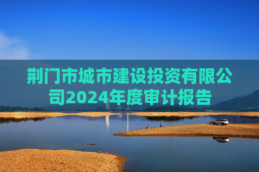 荆门市城市建设投资有限公司2024年度审计报告
