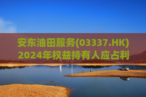 安东油田服务(03337.HK)2024年权益持有人应占利润2.43亿元 同比增长约23.5%