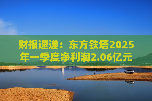 财报速递：东方铁塔2025年一季度净利润2.06亿元  第1张