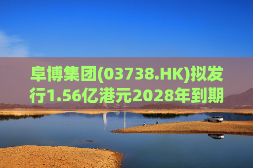 阜博集团(03738.HK)拟发行1.56亿港元2028年到期零息可换股债券  第1张