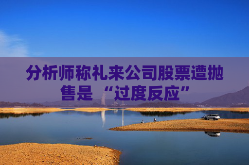 分析师称礼来公司股票遭抛售是 “过度反应”  第1张