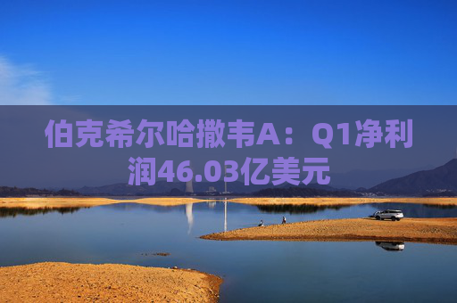 伯克希尔哈撒韦A：Q1净利润46.03亿美元