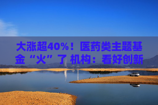大涨超40%！医药类主题基金“火”了 机构：看好创新药投资机会