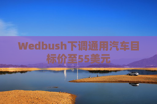 Wedbush下调通用汽车目标价至55美元