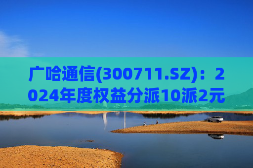 广哈通信(300711.SZ)：2024年度权益分派10派2元 股权登记日5月12日