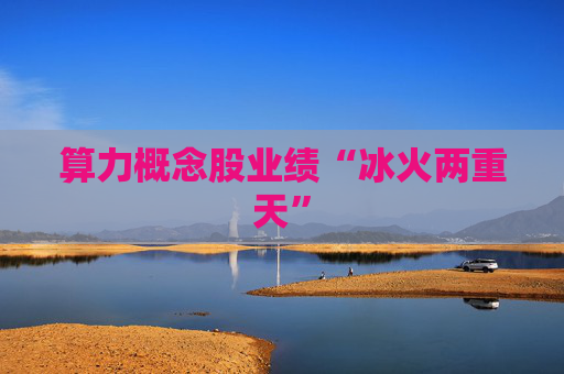 算力概念股业绩“冰火两重天”  第1张