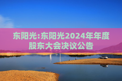 东阳光:东阳光2024年年度股东大会决议公告  第1张