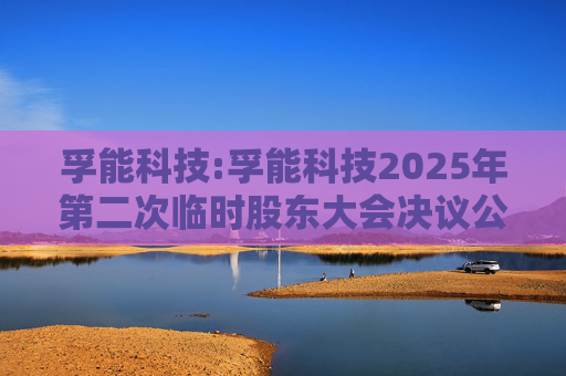 孚能科技:孚能科技2025年第二次临时股东大会决议公告  第1张