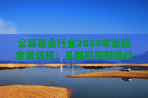 公募基金行业2024年业绩全景透视：头部机构韧性凸显 中小公司差异化突围