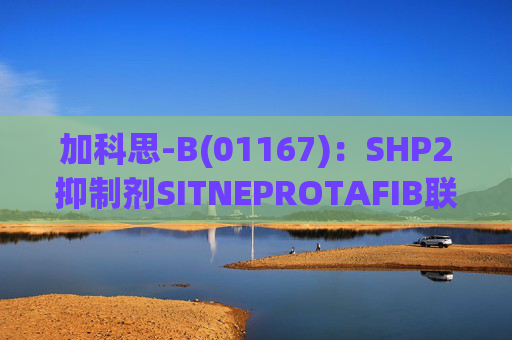 加科思-B(01167)：SHP2抑制剂SITNEPROTAFIB联用研究数据发表于学术期刊
