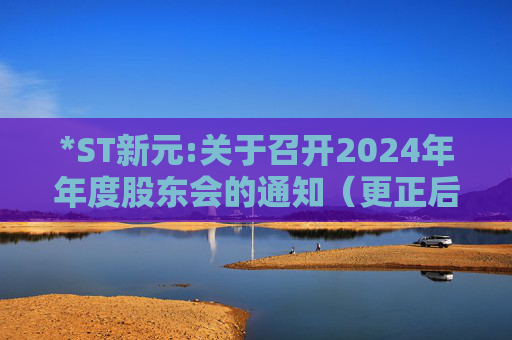 *ST新元:关于召开2024年年度股东会的通知（更正后）