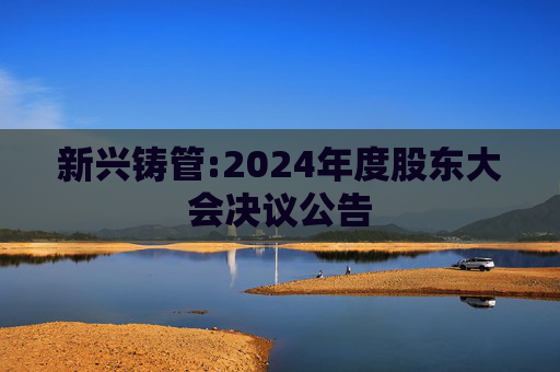 新兴铸管:2024年度股东大会决议公告