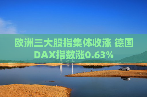 欧洲三大股指集体收涨 德国DAX指数涨0.63%